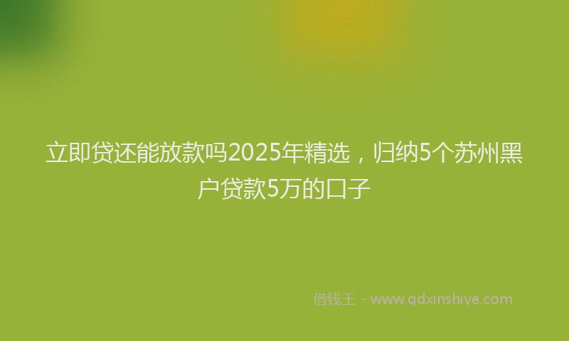 立即贷还能放款吗2025年精选，归纳5个苏州黑户贷款5万的口子
