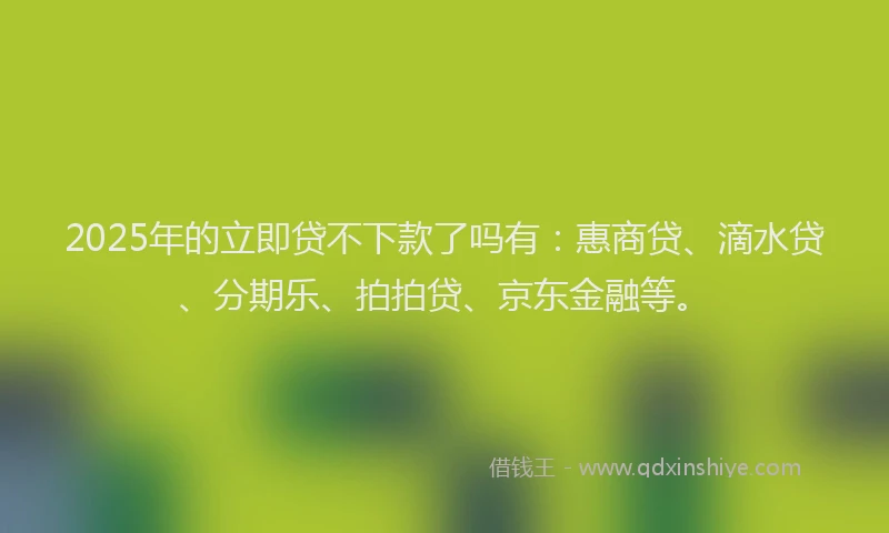 2025年的立即贷不下款了吗有：惠商贷、滴水贷、分期乐、拍拍贷、京东金融等。