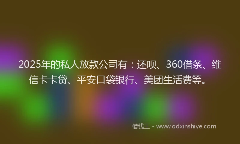 2025年的私人放款公司有：还呗、360借条、维信卡卡贷、平安口袋银行、美团生活费等。
