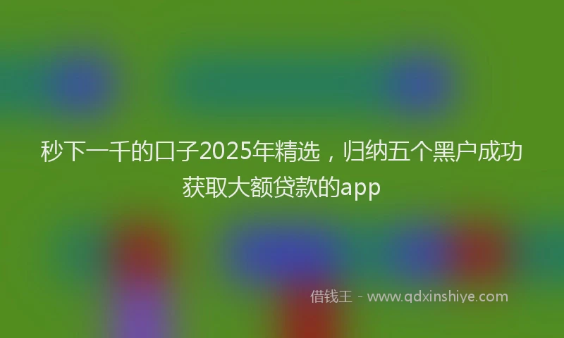 秒下一千的口子2025年精选，归纳五个黑户成功获取大额贷款的app