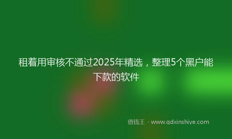 租着用审核不通过2025年精选，整理5个黑户能下款的软件