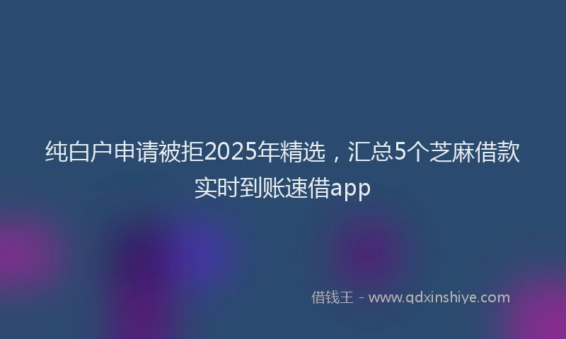 纯白户申请被拒2025年精选，汇总5个芝麻借款实时到账速借app