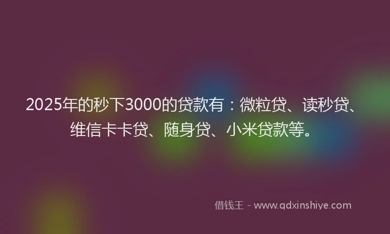 2025年的秒下3000的贷款有：微粒贷、读秒贷、维信卡卡贷、随身贷、小米贷款等。