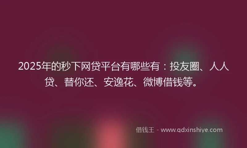 2025年的秒下网贷平台有哪些有：投友圈、人人贷、替你还、安逸花、微博借钱等。