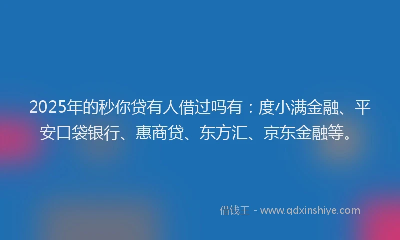 2025年的秒你贷有人借过吗有：度小满金融、平安口袋银行、惠商贷、东方汇、京东金融等。