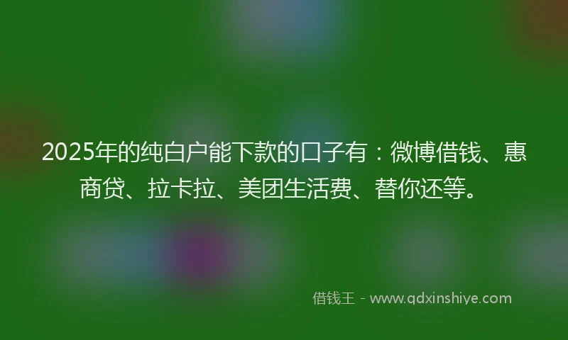2025年的纯白户能下款的口子有：微博借钱、惠商贷、拉卡拉、美团生活费、替你还等。