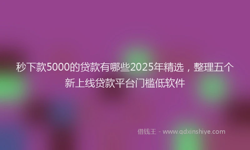 秒下款5000的贷款有哪些2025年精选，整理五个新上线贷款平台门槛低软件