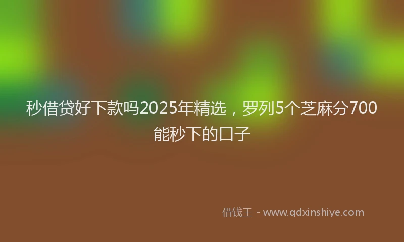 秒借贷好下款吗2025年精选，罗列5个芝麻分700能秒下的口子