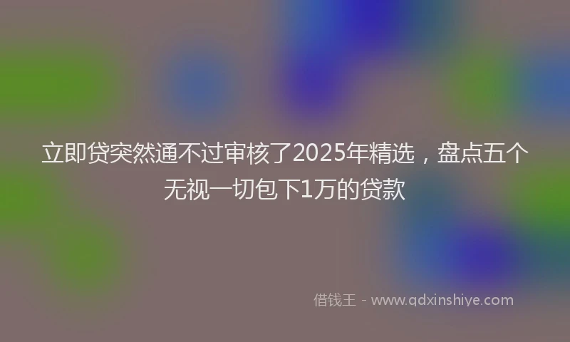 立即贷突然通不过审核了2025年精选，盘点五个无视一切包下1万的贷款