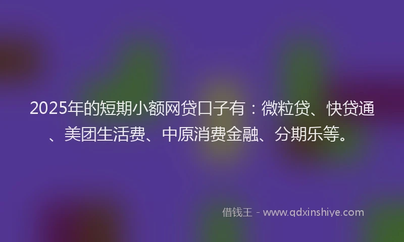 2025年的短期小额网贷口子有：微粒贷、快贷通、美团生活费、中原消费金融、分期乐等。