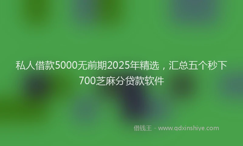私人借款5000无前期2025年精选，汇总五个秒下700芝麻分贷款软件