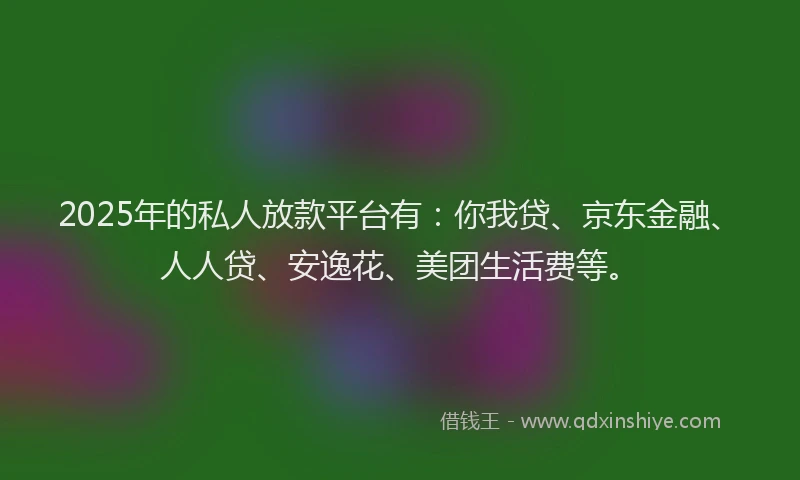 2025年的私人放款平台有：你我贷、京东金融、人人贷、安逸花、美团生活费等。