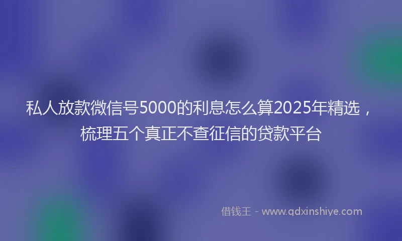 私人放款微信号5000的利息怎么算2025年精选，梳理五个真正不查征信的贷款平台