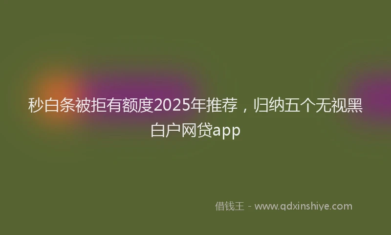 秒白条被拒有额度2025年推荐，归纳五个无视黑白户网贷app
