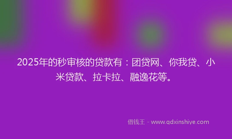 2025年的秒审核的贷款有：团贷网、你我贷、小米贷款、拉卡拉、融逸花等。