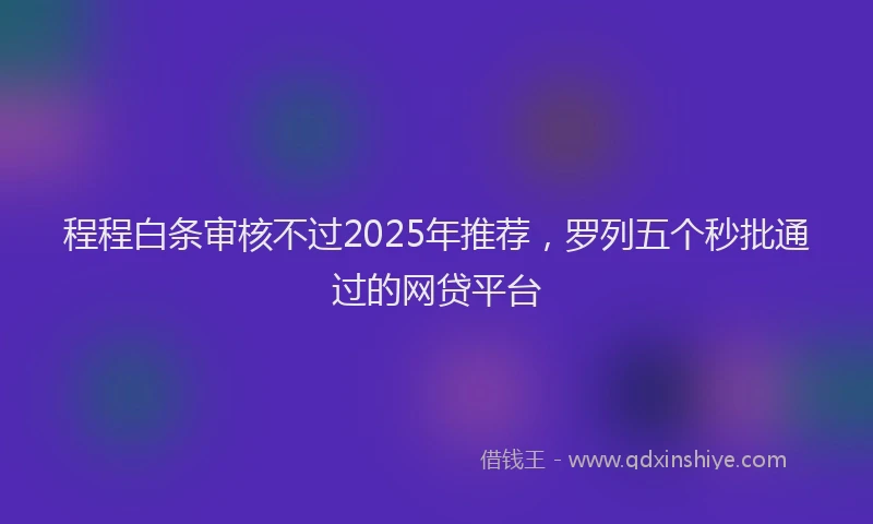 程程白条审核不过2025年推荐，罗列五个秒批通过的网贷平台