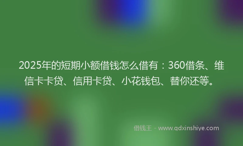 2025年的短期小额借钱怎么借有：360借条、维信卡卡贷、信用卡贷、小花钱包、替你还等。