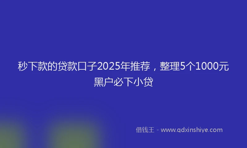 秒下款的贷款口子2025年推荐，整理5个1000元黑户必下小贷