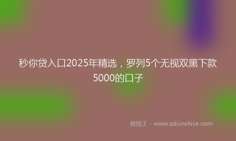 秒你贷入口2025年精选，罗列5个无视双黑下款5000的口子