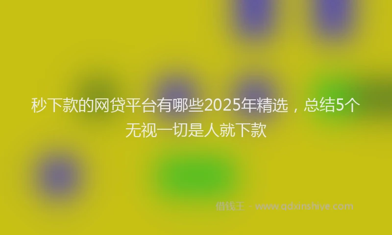 秒下款的网贷平台有哪些2025年精选，总结5个无视一切是人就下款