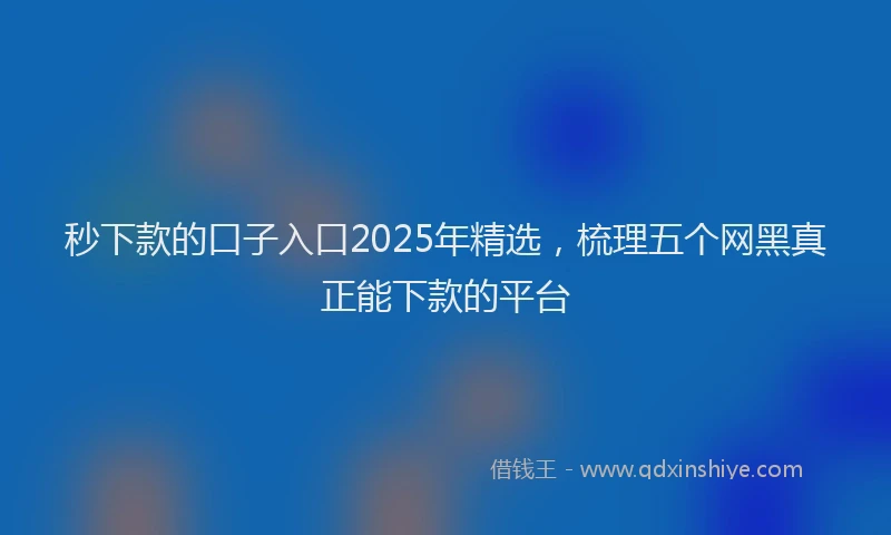 秒下款的口子入口2025年精选，梳理五个网黑真正能下款的平台