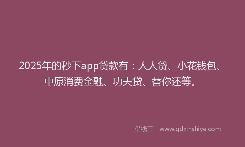 2025年的秒下app贷款有：人人贷、小花钱包、中原消费金融、功夫贷、替你还等。