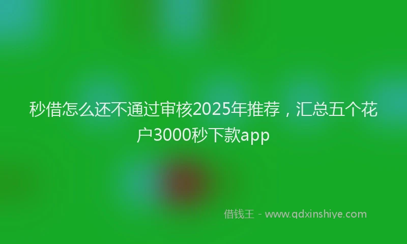 秒借怎么还不通过审核2025年推荐，汇总五个花户3000秒下款app
