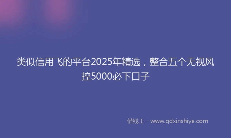 类似信用飞的平台2025年精选，整合五个无视风控5000必下口子