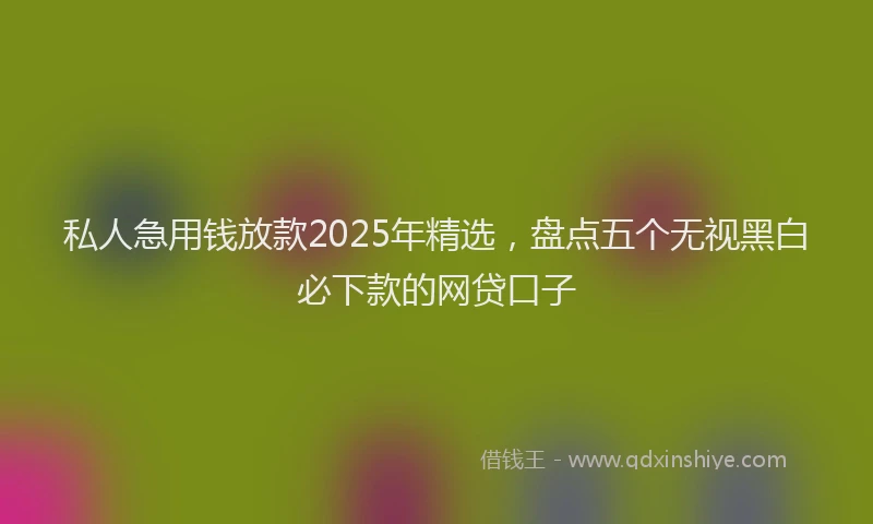 私人急用钱放款2025年精选，盘点五个无视黑白必下款的网贷口子