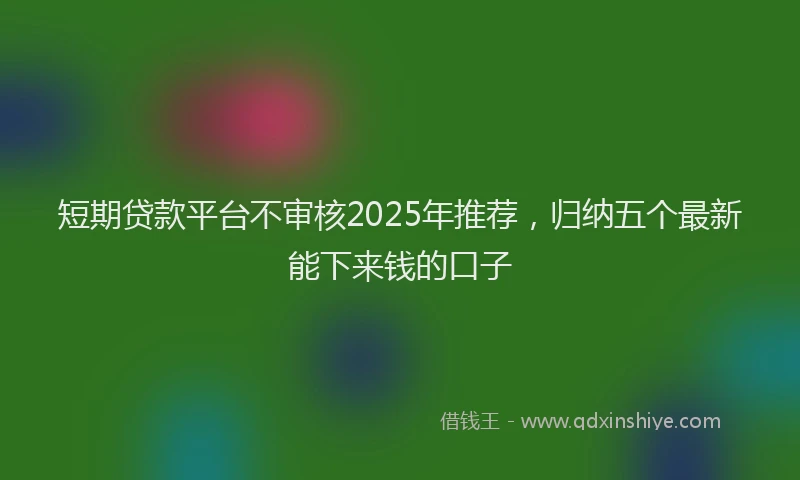 短期贷款平台不审核2025年推荐，归纳五个最新能下来钱的口子