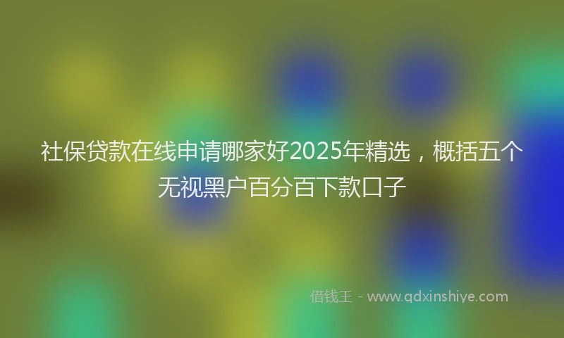 社保贷款在线申请哪家好2025年精选，概括五个无视黑户百分百下款口子