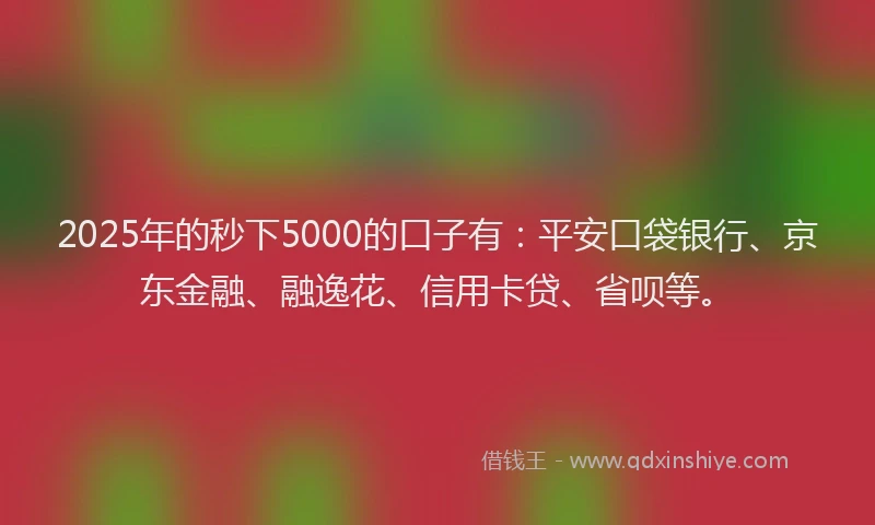 2025年的秒下5000的口子有：平安口袋银行、京东金融、融逸花、信用卡贷、省呗等。