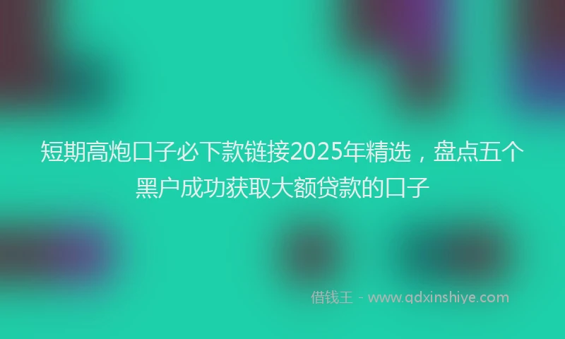 短期高炮口子必下款链接2025年精选，盘点五个黑户成功获取大额贷款的口子