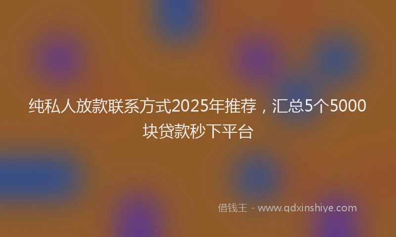 纯私人放款联系方式2025年推荐，汇总5个5000块贷款秒下平台
