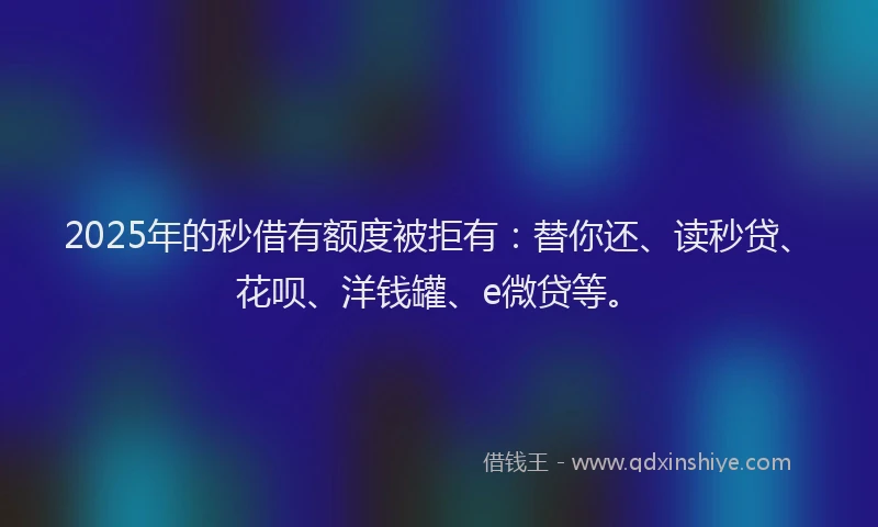 2025年的秒借有额度被拒有：替你还、读秒贷、花呗、洋钱罐、e微贷等。