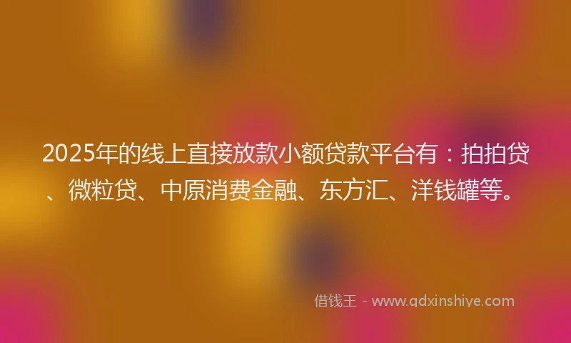 2025年的线上直接放款小额贷款平台有：拍拍贷、微粒贷、中原消费金融、东方汇、洋钱罐等。