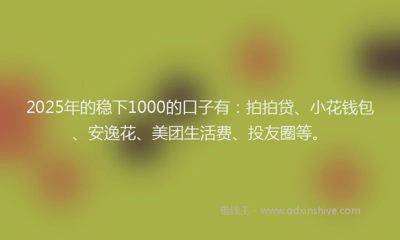 2025年的稳下1000的口子有：拍拍贷、小花钱包、安逸花、美团生活费、投友圈等。