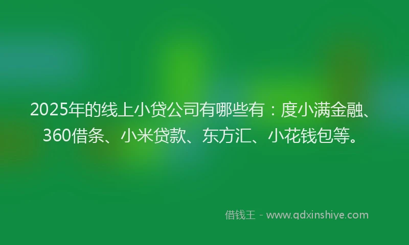 2025年的线上小贷公司有哪些有：度小满金融、360借条、小米贷款、东方汇、小花钱包等。
