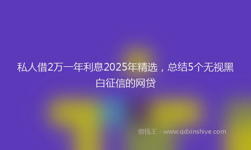 私人借2万一年利息2025年精选，总结5个无视黑白征信的网贷