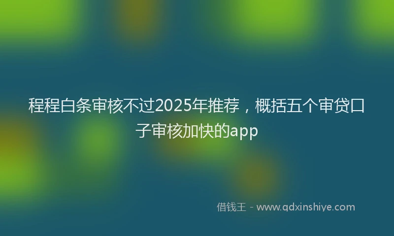 程程白条审核不过2025年推荐，概括五个审贷口子审核加快的app