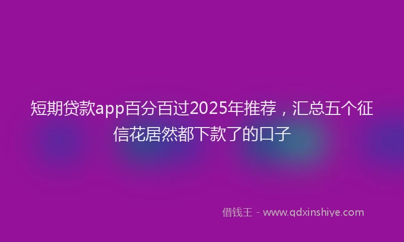 短期贷款app百分百过2025年推荐，汇总五个征信花居然都下款了的口子