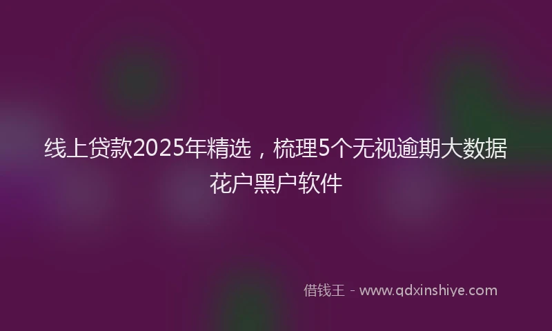 线上贷款2025年精选，梳理5个无视逾期大数据花户黑户软件