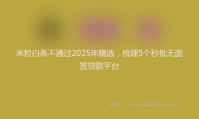 米粒白条不通过2025年精选，梳理5个秒批无面签贷款平台