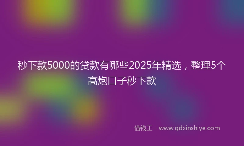 秒下款5000的贷款有哪些2025年精选，整理5个高炮口子秒下款