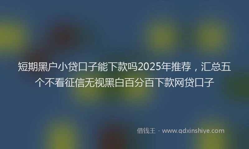 短期黑户小贷口子能下款吗2025年推荐，汇总五个不看征信无视黑白百分百下款网贷口子