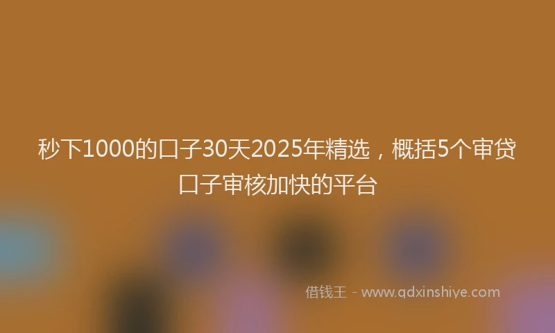秒下1000的口子30天2025年精选，概括5个审贷口子审核加快的平台
