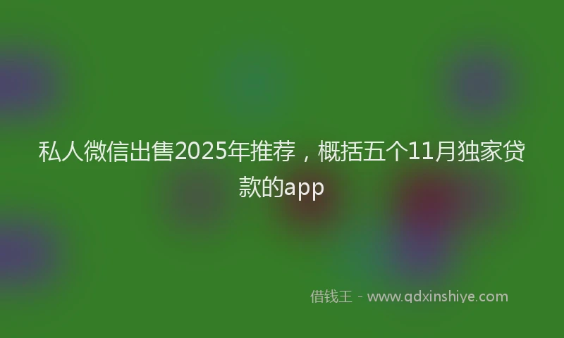 私人微信出售2025年推荐，概括五个11月独家贷款的app