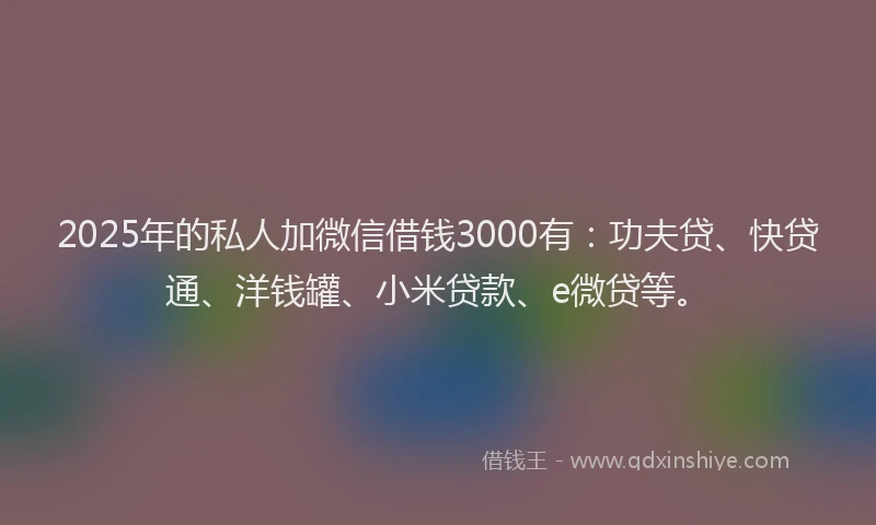 2025年的私人加微信借钱3000有：功夫贷、快贷通、洋钱罐、小米贷款、e微贷等。