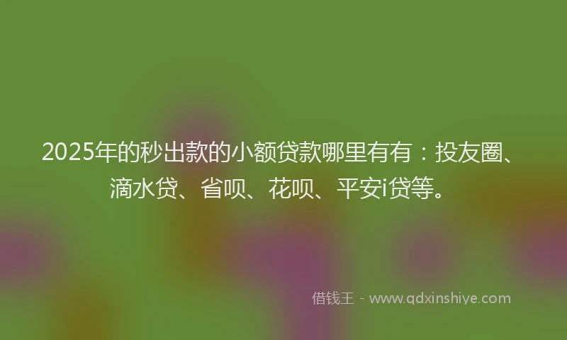 2025年的秒出款的小额贷款哪里有有：投友圈、滴水贷、省呗、花呗、平安i贷等。