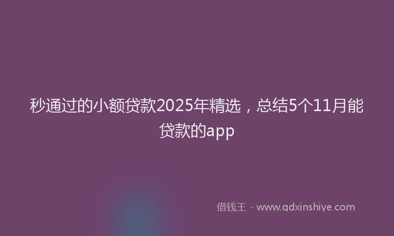 秒通过的小额贷款2025年精选，总结5个11月能贷款的app